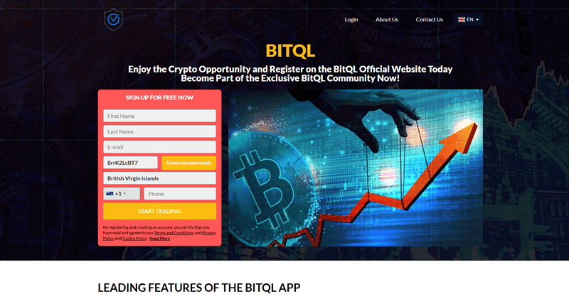 BitQL Homepage Screenshot