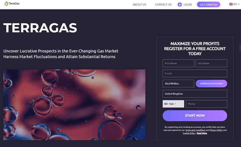 TerraGas Homepage Screenshot